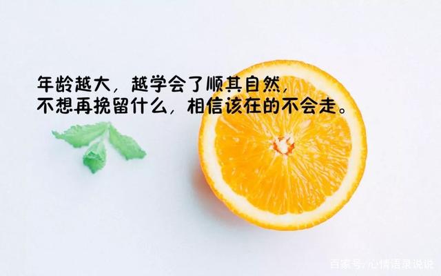 当情感遇见广告：创意之光如何触动你的心灵