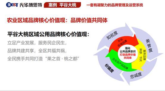 探索创意广告对品牌重塑的影响力