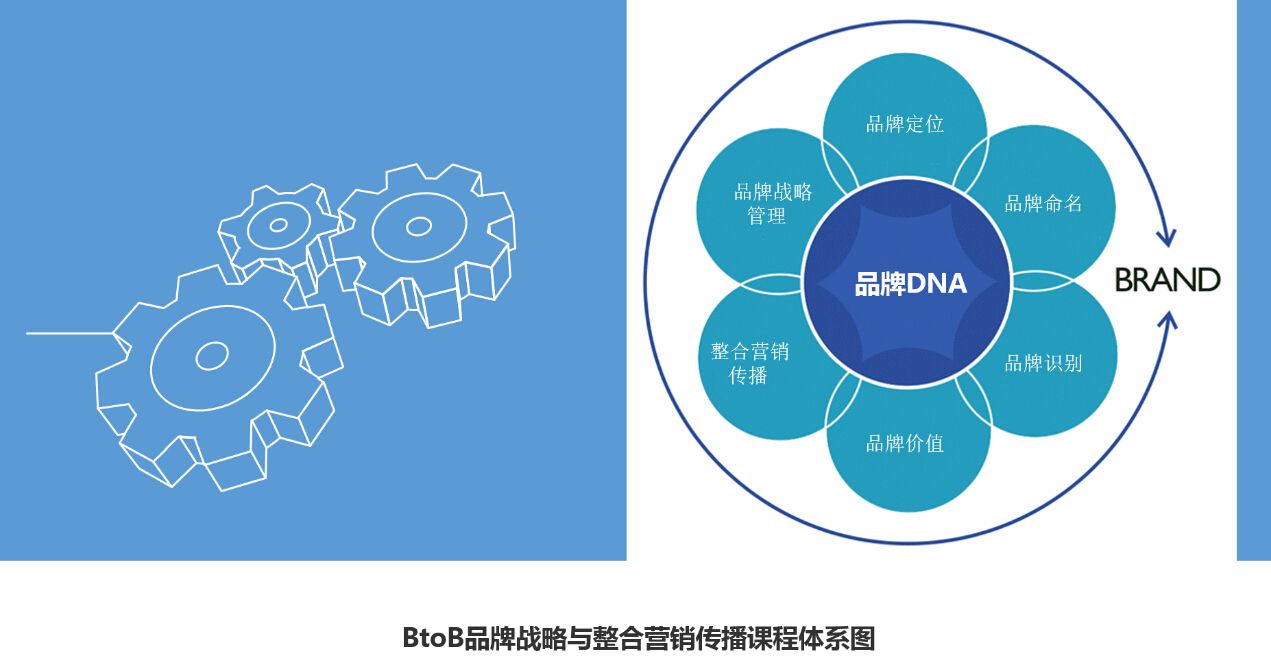 创意广告策略与品牌重塑的完美结合